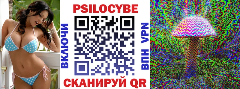 Псилоцибиновые грибы Psilocybine cubensis Череповец
